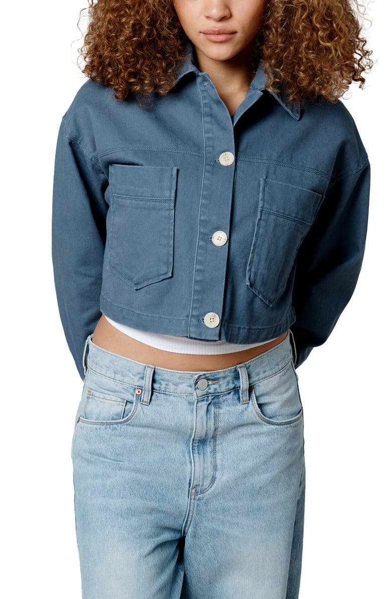 BLANKNYC Oversize Crop Cotton Jacket, Alternate, color, Surf Camp