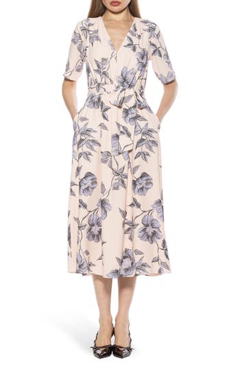 Alexia Admor Larisa A-line Dress In Blue Floral