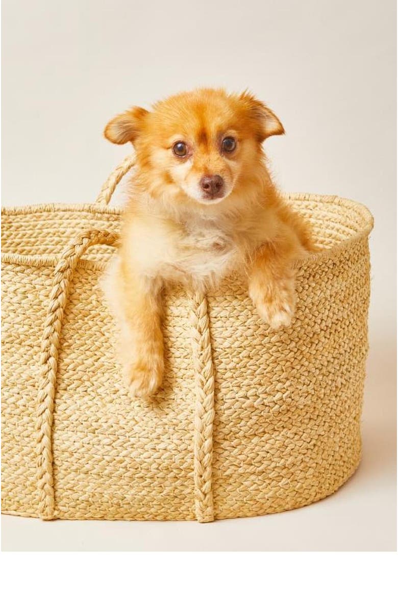 indego africa Rectangle Braided Raffia Floor Basket, Alternate, color, Natural