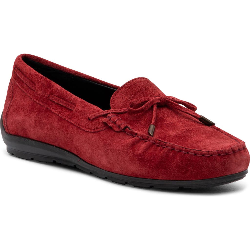 Ara Amarillo Leather Driving Shoe In Red