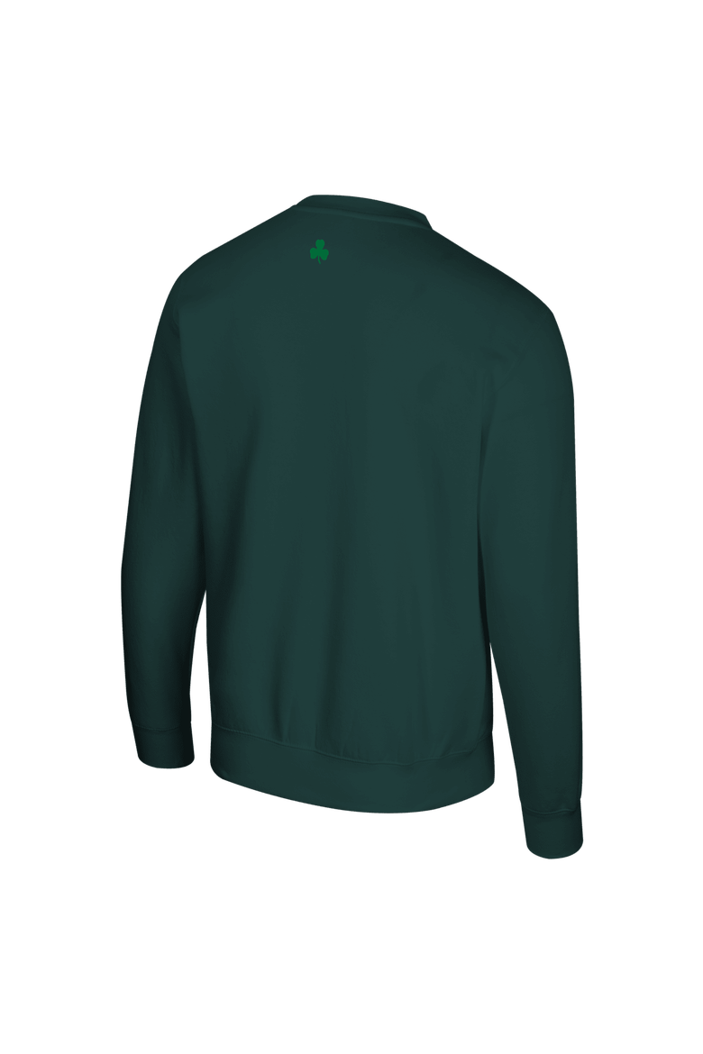 Unisex Stadium Essentials  Kelly Green Boston Celtics 46 Reserve Different Here Sweatshirt, Alternate, color, Kelly Green