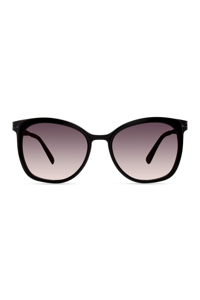 455 Sunglasses, Main, color, Black