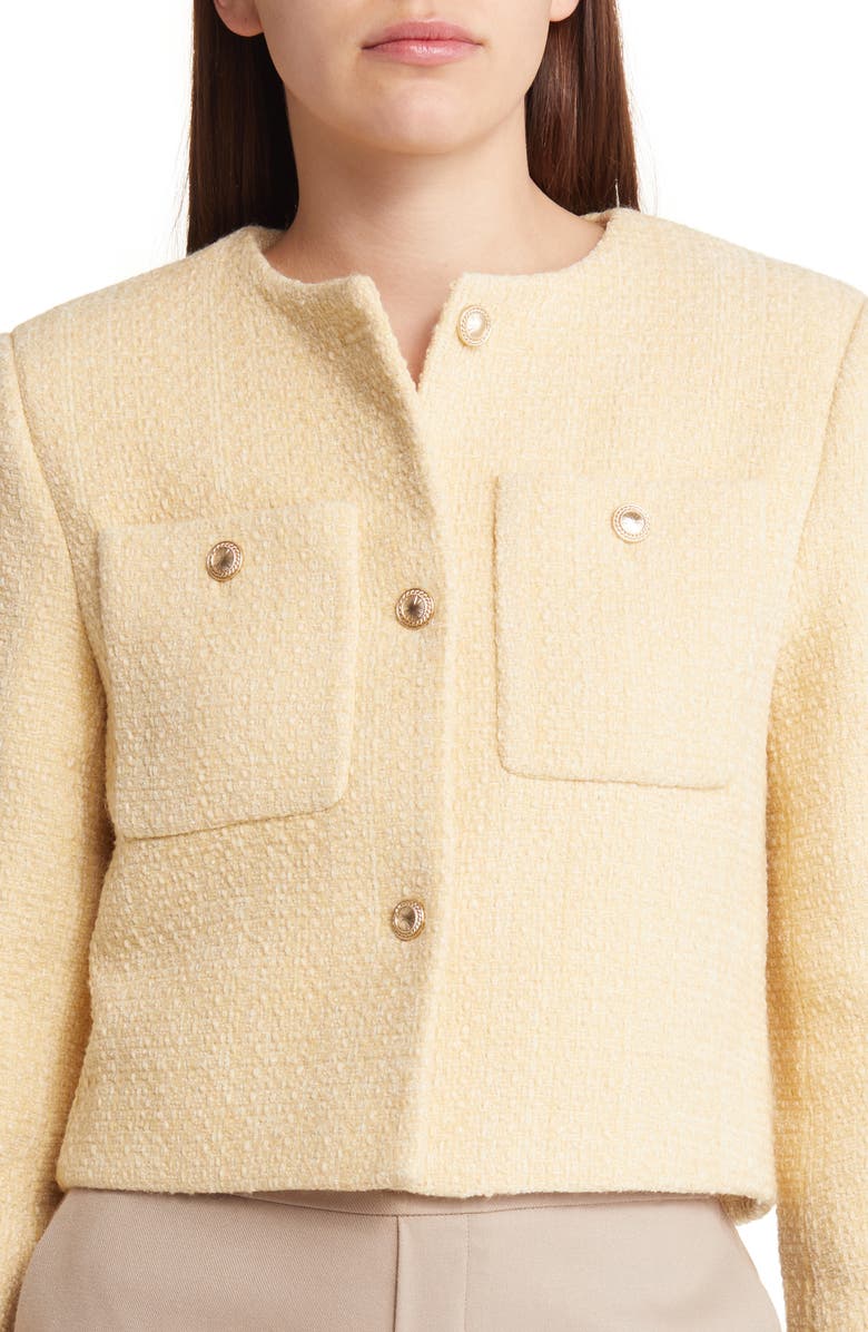 Sophie Rue Marcelle Wool Blend Tweed Jacket, Alternate, color, 