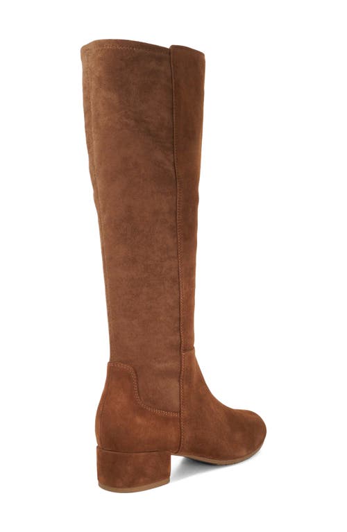 Dune London Tayla Knee High Boot In Brown