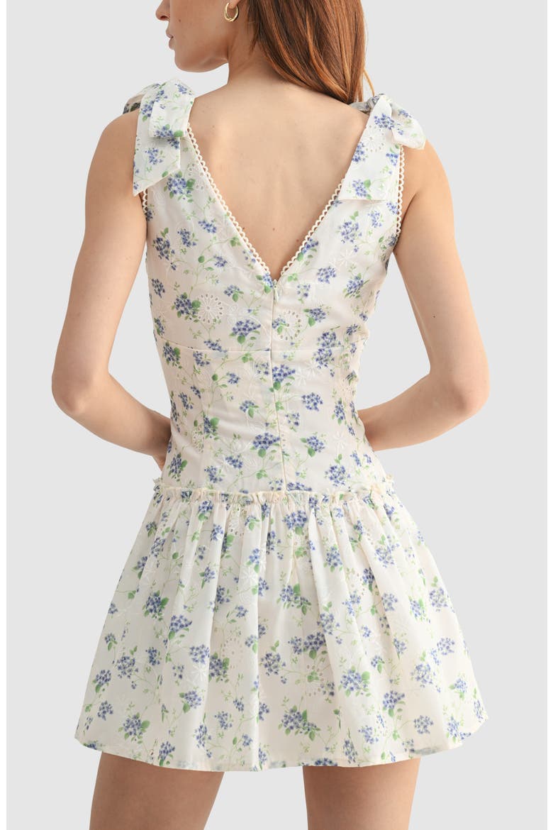 Floral Embroidered Eyelet Tie Strap Minidress, Alternate, color, CREAM/BLUE