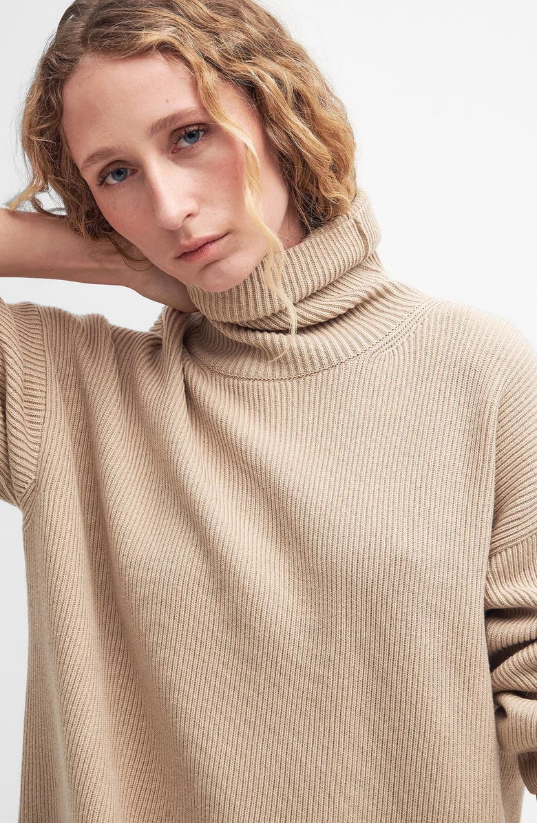 Barbour Long Sleeve Cotton Blend Rib Turtleneck Sweater Dress, Alternate, color, Pepper Brown