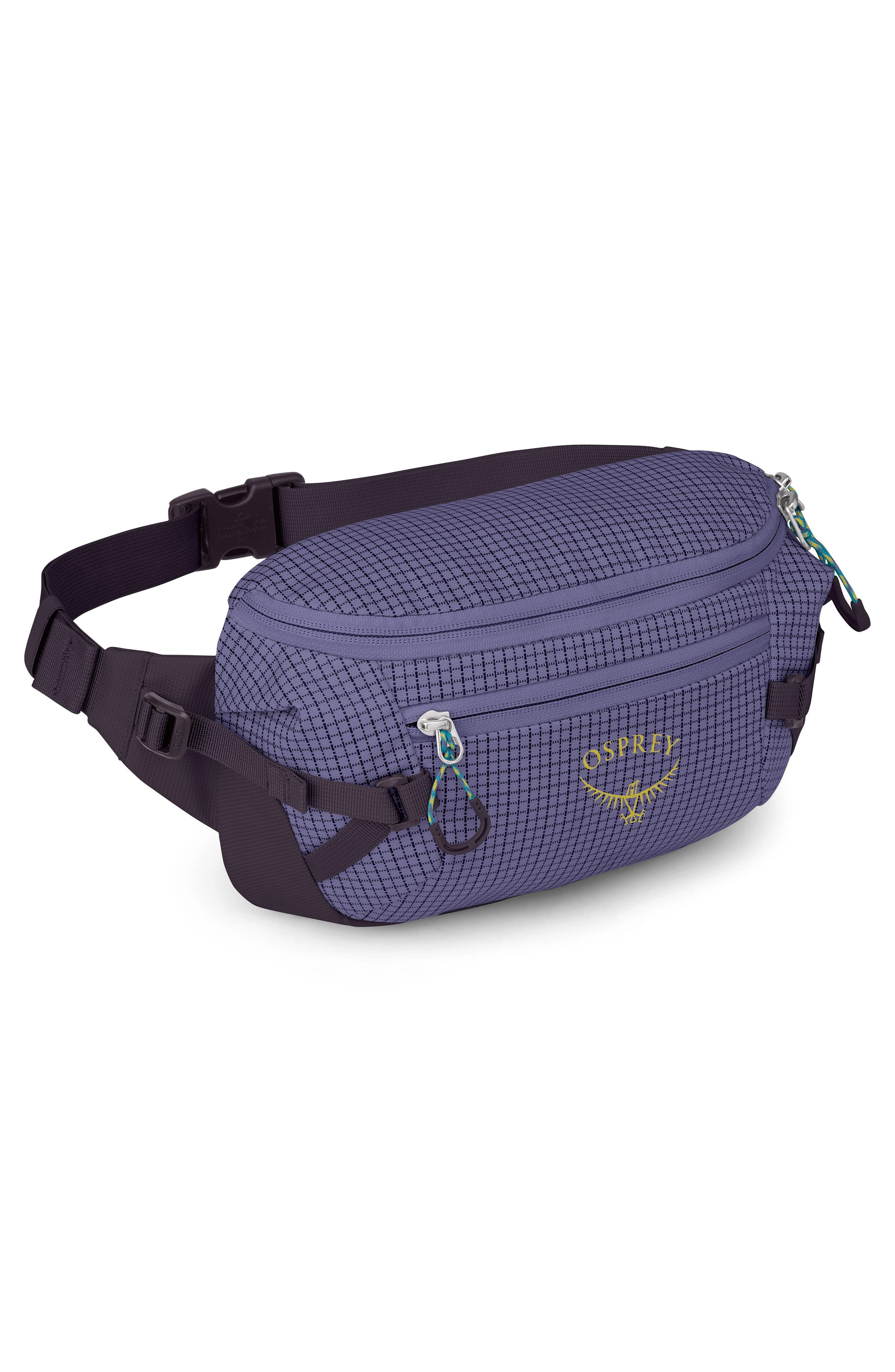Transporter 3-Liter Waist Pack, Alternate, color, EUPHORIA PURPLE/PURPLE INK