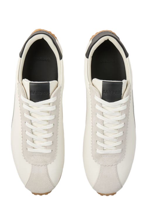 Sandro Leather Sneakers In Multi