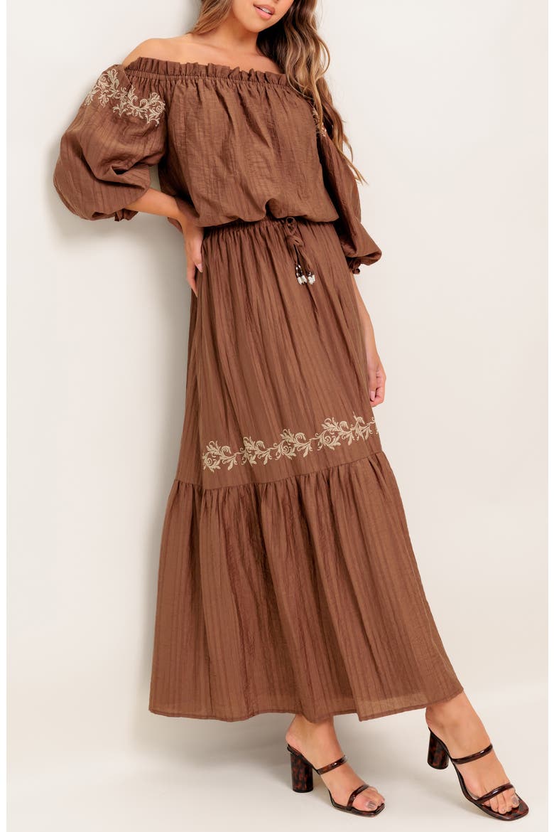 Embroidered Maxi Skirt, Alternate, color, BROWN