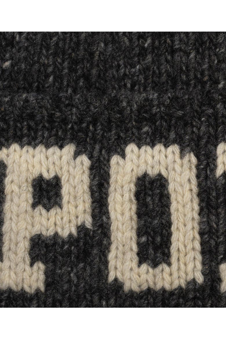 Knit Tweed Polo Beanie, Alternate, color, Charcoal