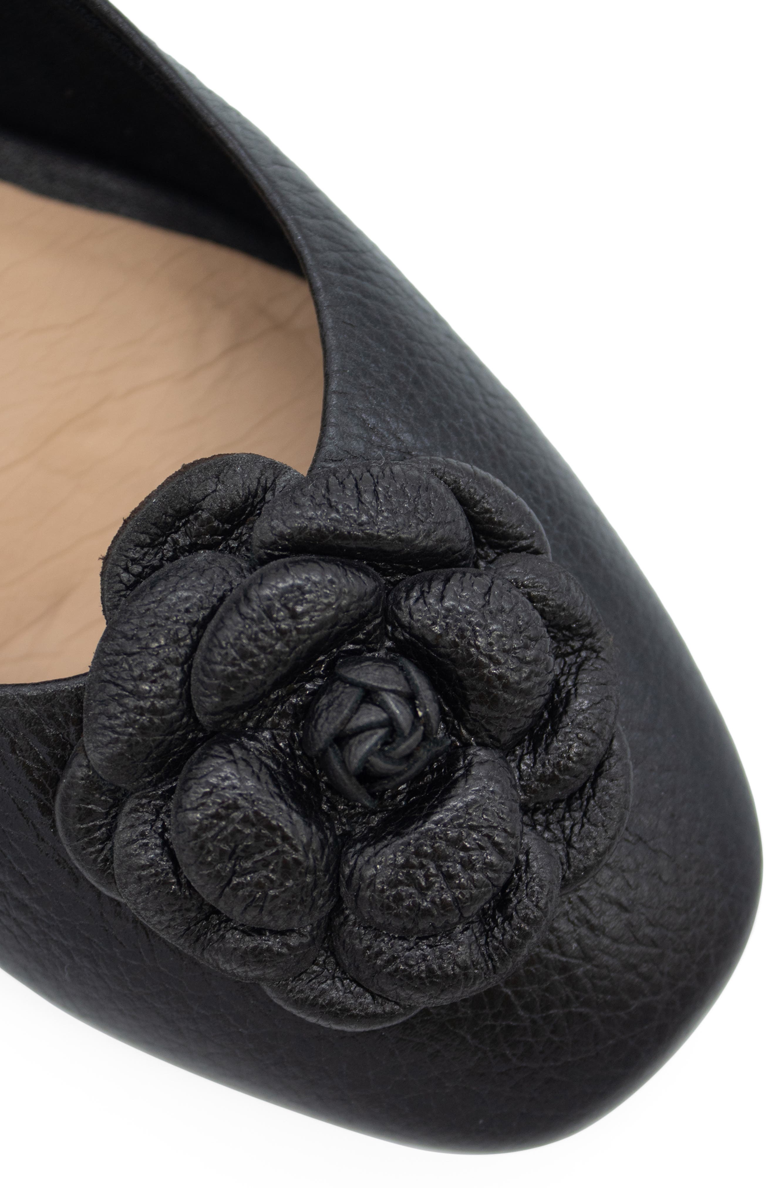 Bottero Botsamya Ballet Flat, Alternate, color, Preto
