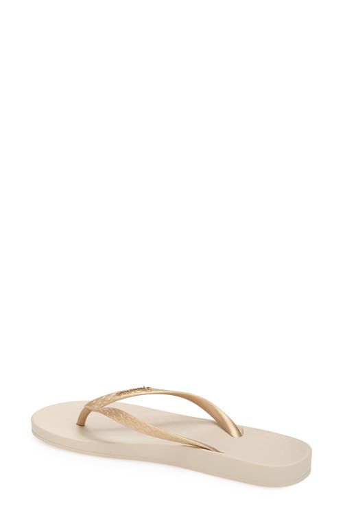 Ipanema Anatomica Tan Gold Flip Flops In Beige/gold