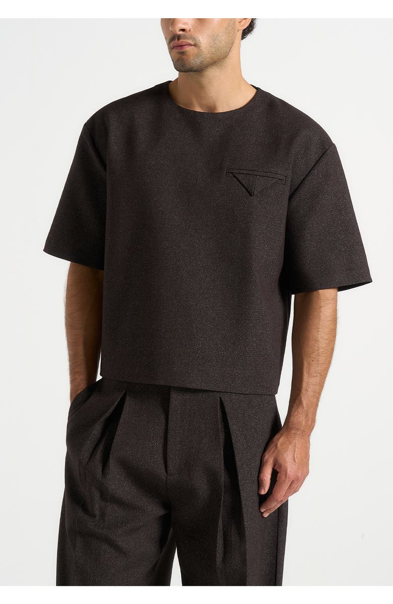 Manière De Voir Leon Boxy Cropped Hatched T-Shirt, Alternate, color, Brown