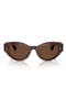 selected Morado Tortoise / Terra Polar
