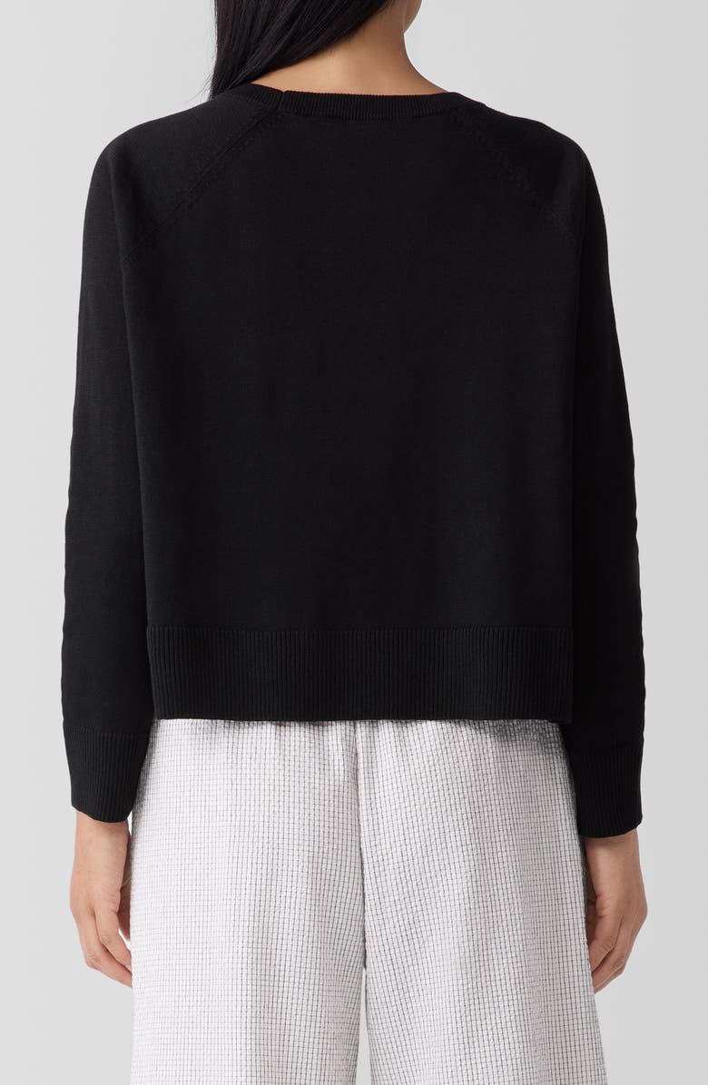 Eileen Fisher Raglan Sleeve Boxy Organic Linen & Organic Cotton Sweater, Alternate, color, 