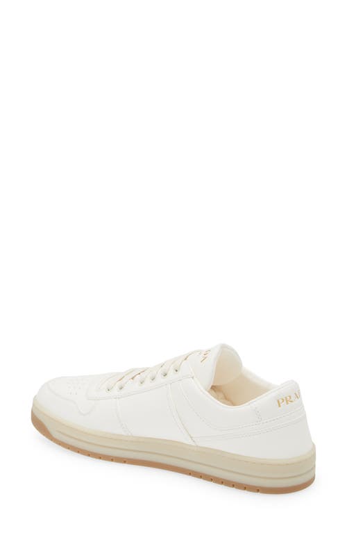 Prada Off White Downtown Lace Up Sneakers