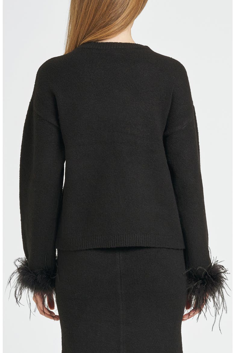 Sadie Feather Trim Sweater, Alternate, color, BLACK