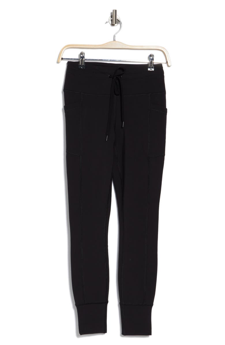 YOGALICIOUS Polarlux Prestige High Waist Joggers, Alternate, color,