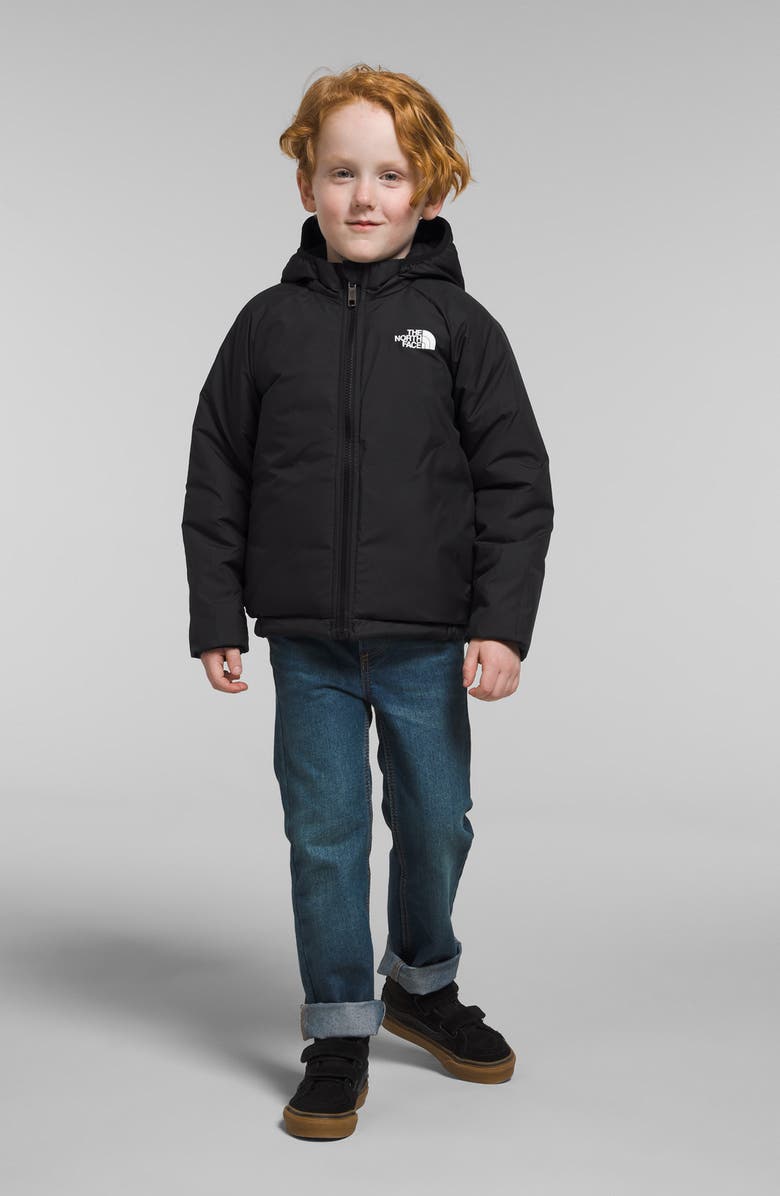 The North Face Kids' Perrito Reversible Water Repellent Jacket, Alternate, color, 