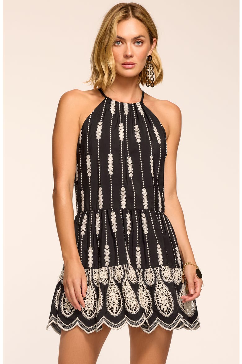 Kaelyn Embroidered Minidress, Alternate, color, BLACK LACE