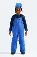 The North Face Kids' Freedom Insulated Snow Bib Overalls