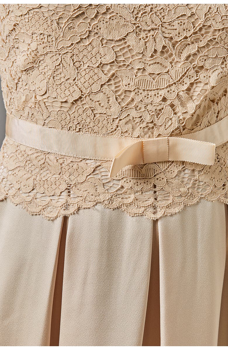 Coast Lace And Crepe Full Skirted Midi Dress, Alternate, color, 