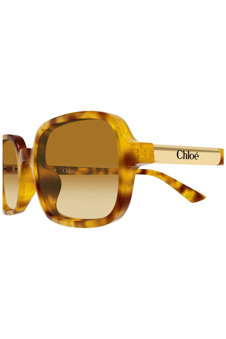 53mm Gradient Rectangular Sunglasses, Alternate, color, HAVANA