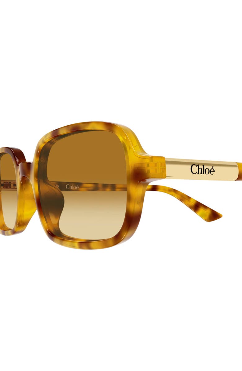Chloé 53mm Gradient Rectangular Sunglasses, Alternate, color, Havana