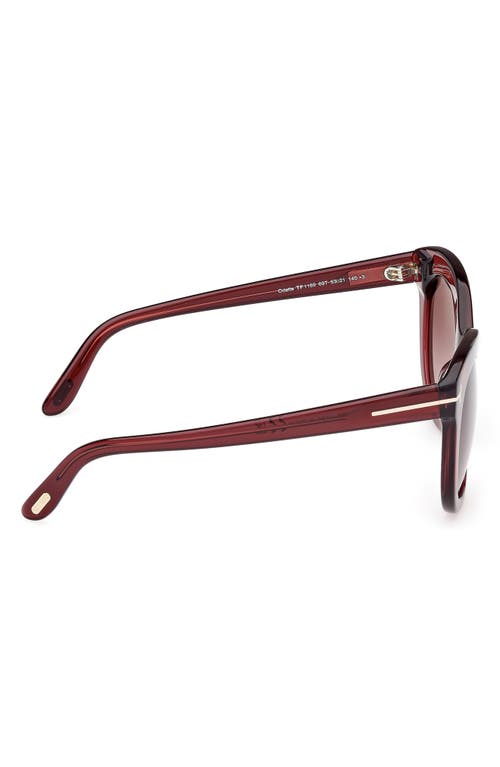 Tom Ford Odette 53mm Butterfly Sunglasses In Wine/t Logo/burgundy