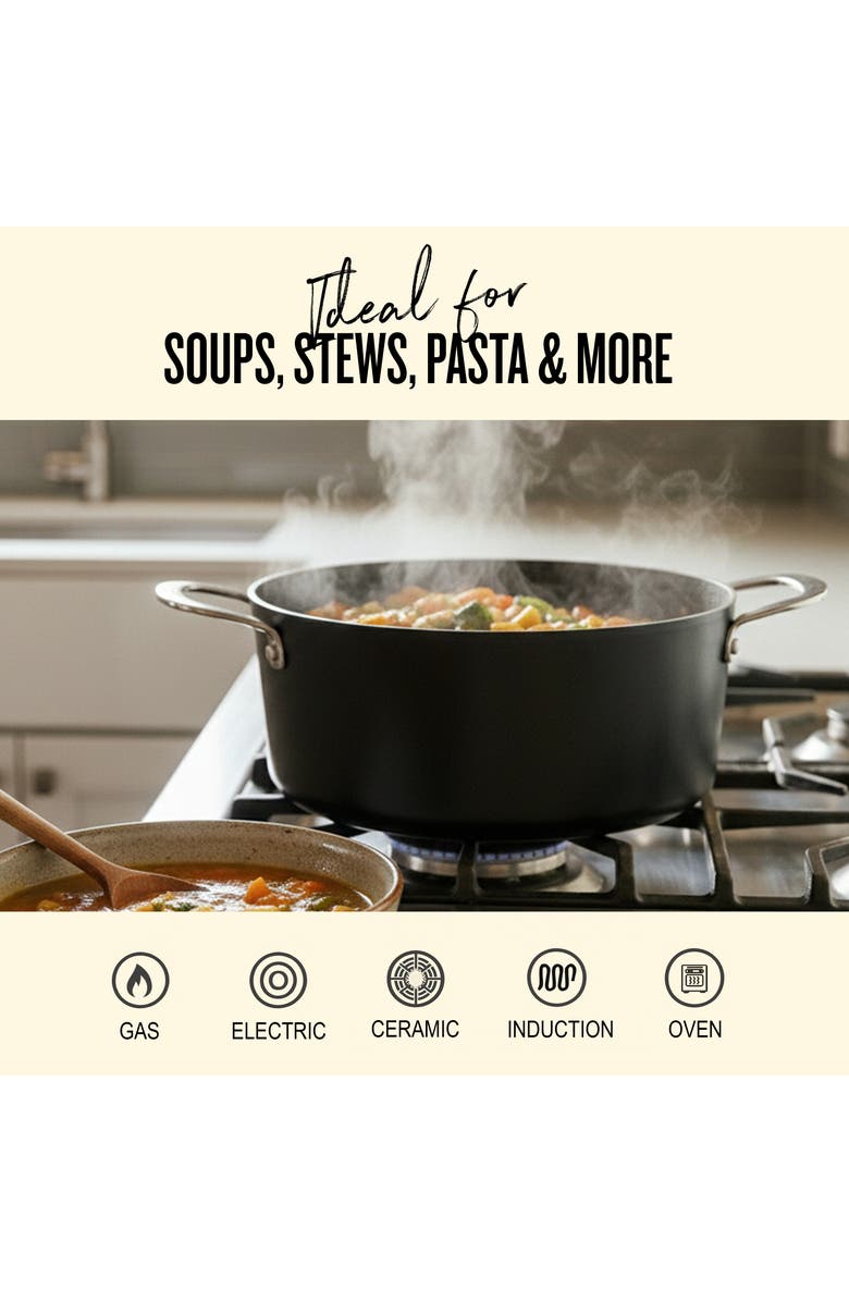 Alva Maestro Nonstick Stock Pot with Lid, Alternate, color, Black