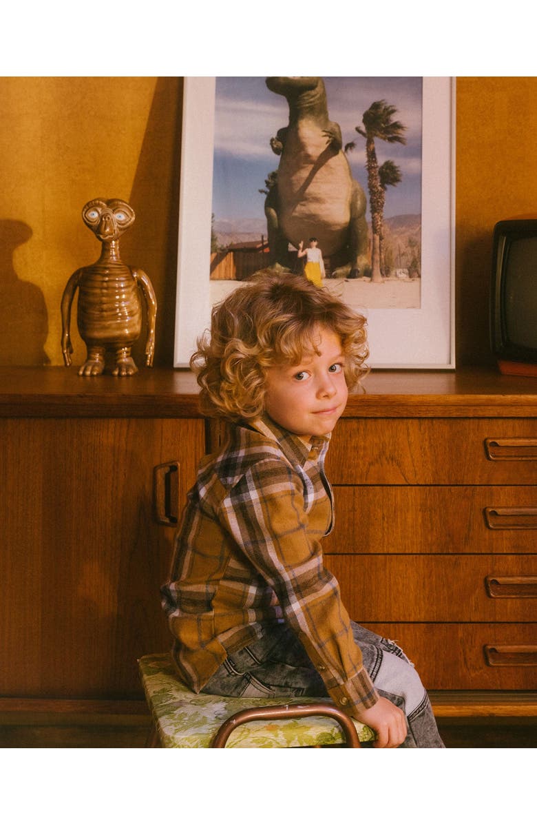 Deux par Deux Little Boy's Button Down Flannel Shirt With Pocket Plaid Golden Yellow And Gray, Alternate, color, 