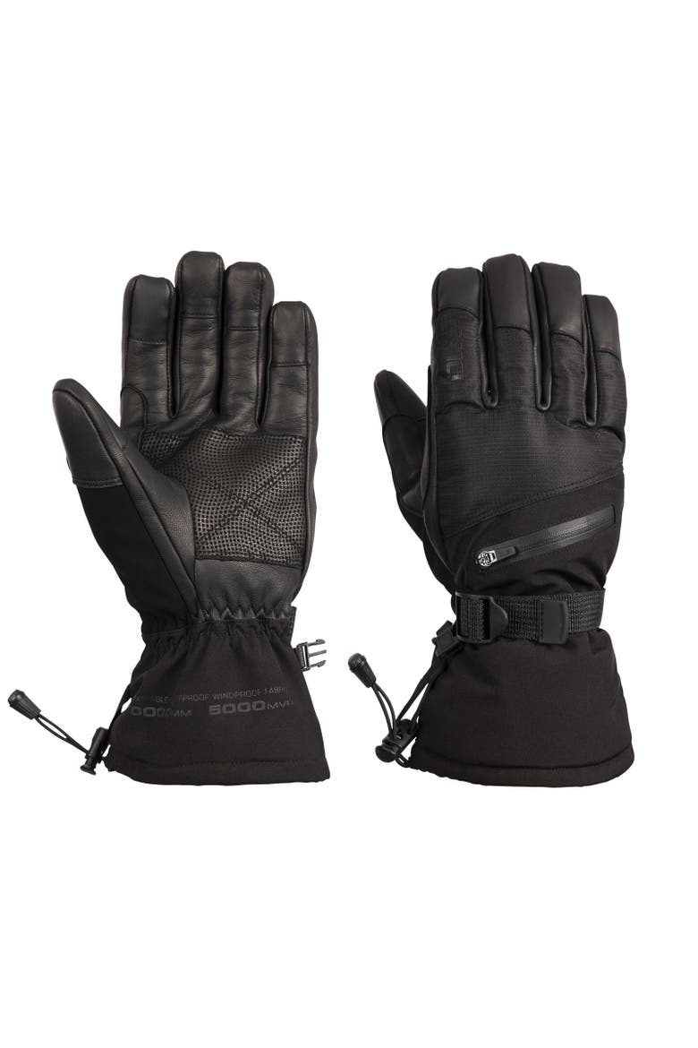 Gender Inclusive Edonia Dlx Leather Ski Gloves, Main, color, Black