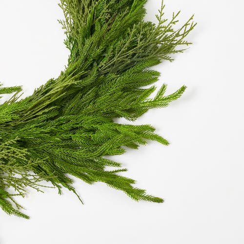 Darby Creek Trading Deluxe Real Touch Winter Greenery With Cypress, Norfolk & Pine Christmas Mantel