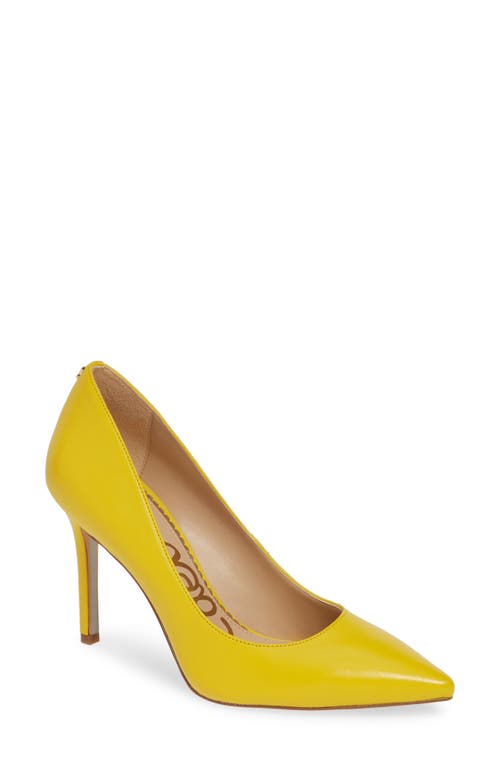 Sam Edelman Hazel Pointed Toe Pump