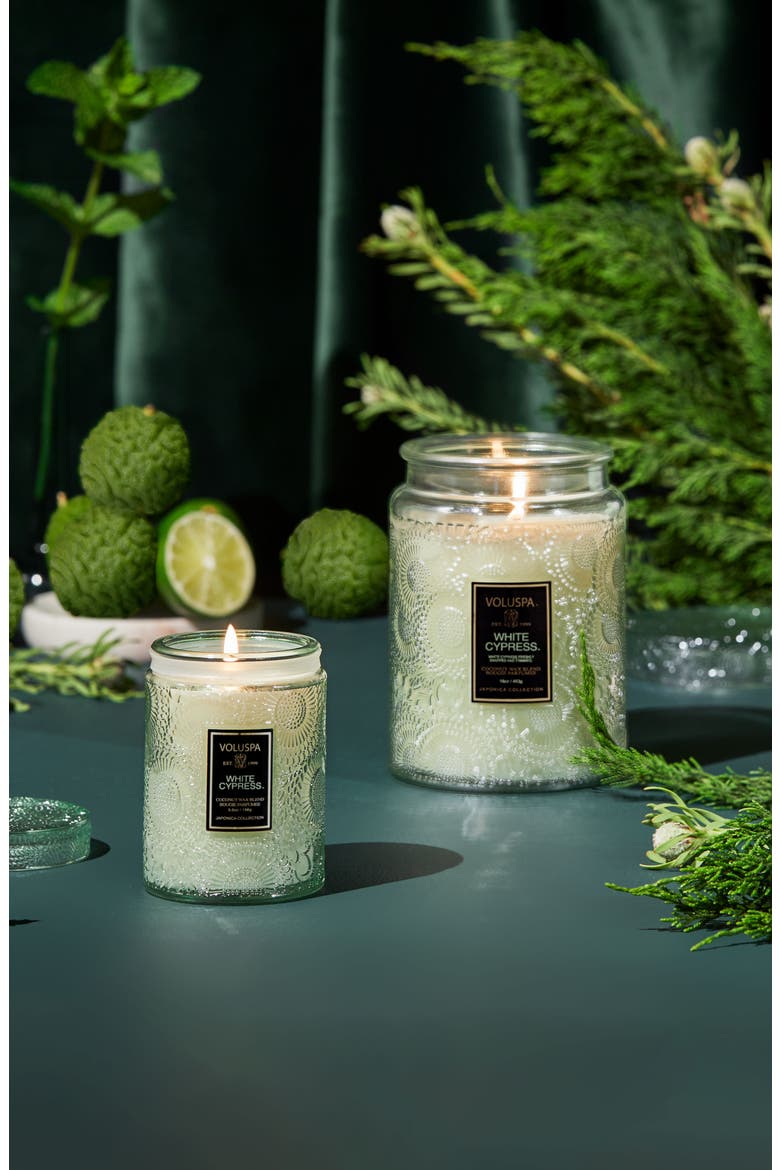 Japonica White Cypress Jar Candle (Limited Edition), Alternate, color, WHITE CYPRESS