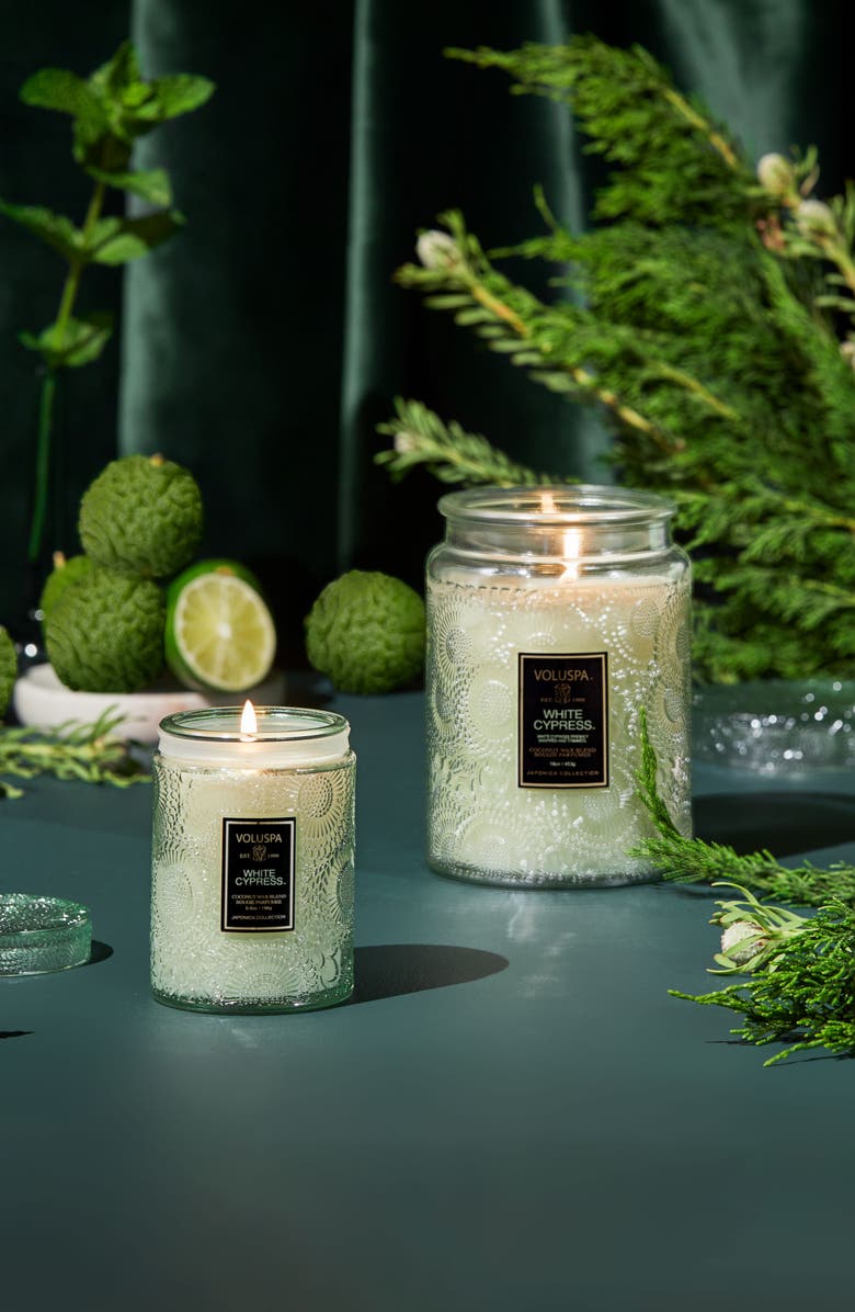 Voluspa Japonica White Cypress Jar Candle, Alternate, color, White Cypress
