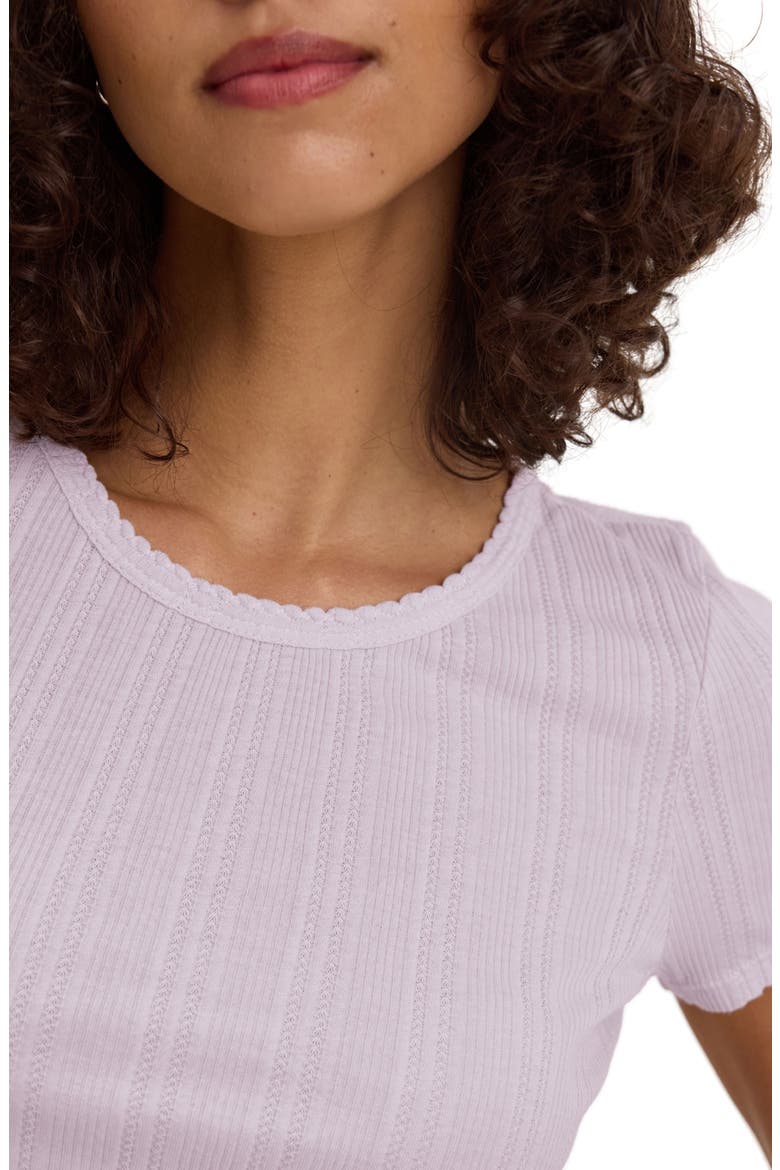 Pointelle Cotton Blend Tee, Alternate, color, FREESIA