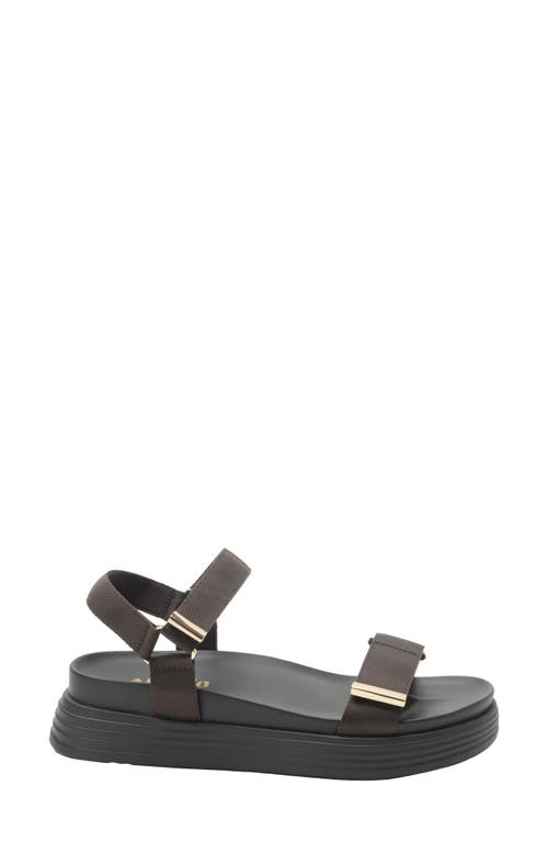 Alegria By Pg Lite Allyson Platform Sandal In Brown