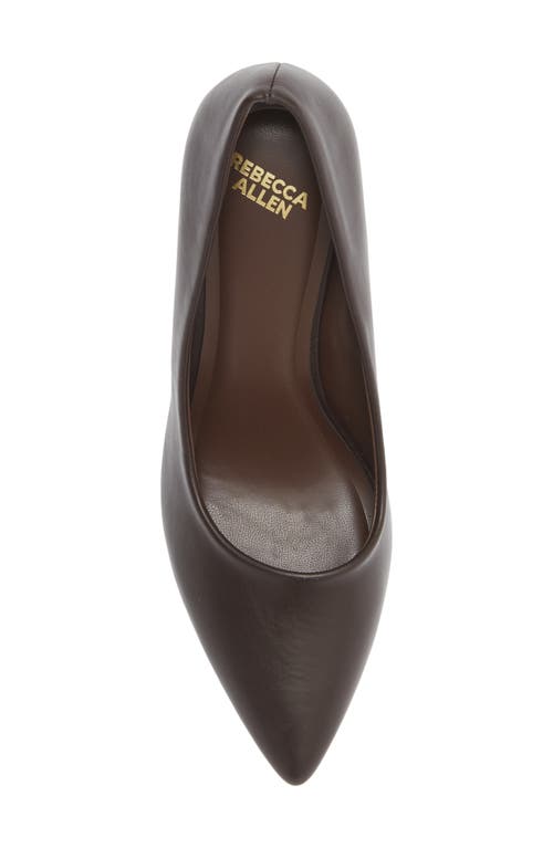 Rebecca Allen Pointed Toe Pump In Brown