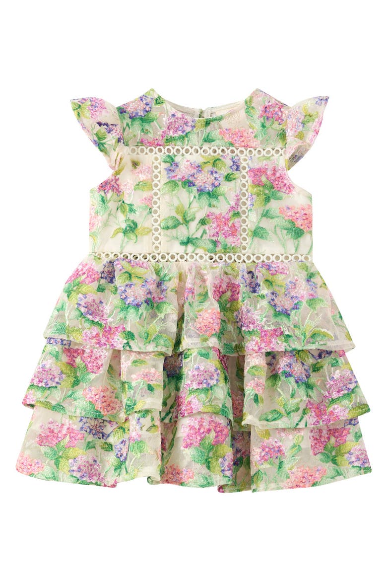 Clementine Embroidered Mini Dress, Main, color, Floral
