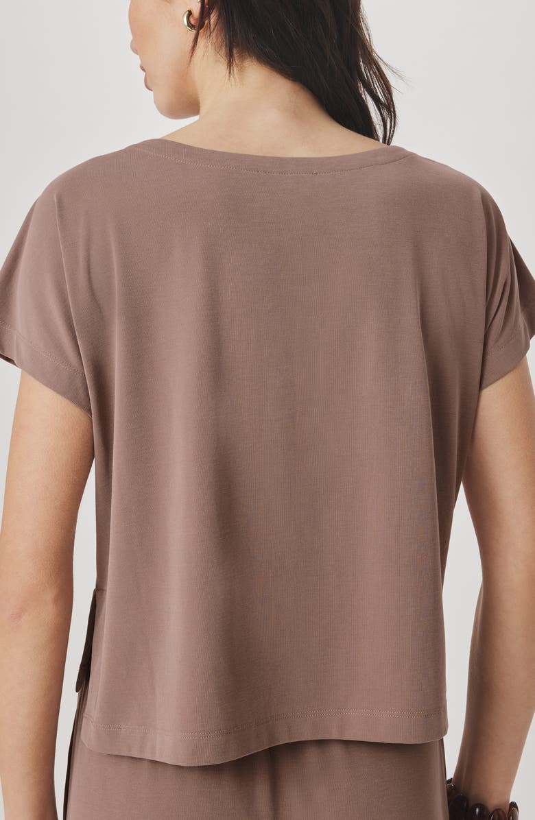 Splendid Sasha Sandwash T-Shirt, Alternate, color, Wicker Beige