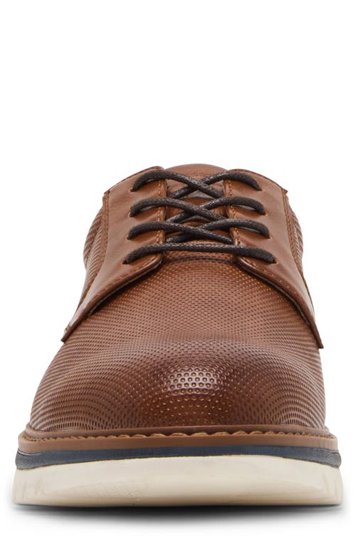 Steve Madden Sorrin Derby Sneaker In Brown