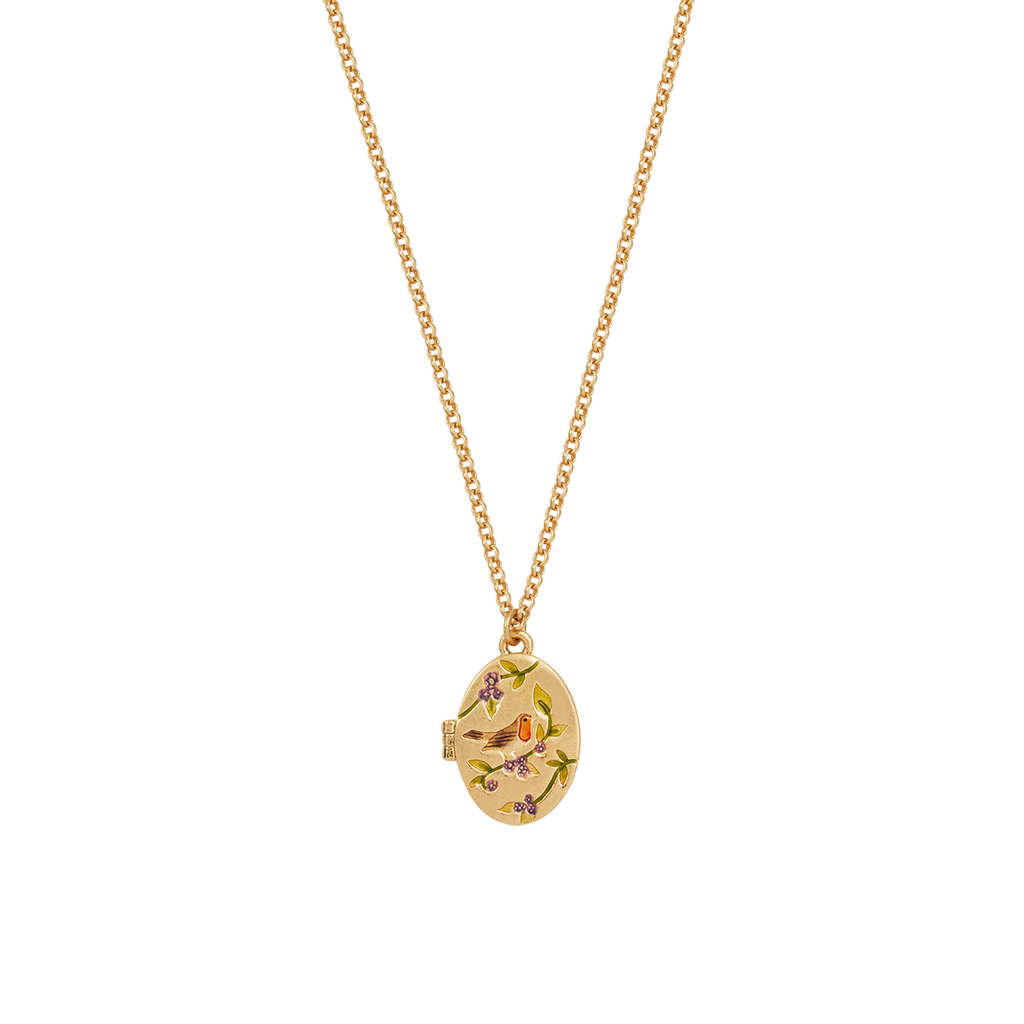Fable England Robin & Blackberry Gold Locket Chain Necklace In Gold