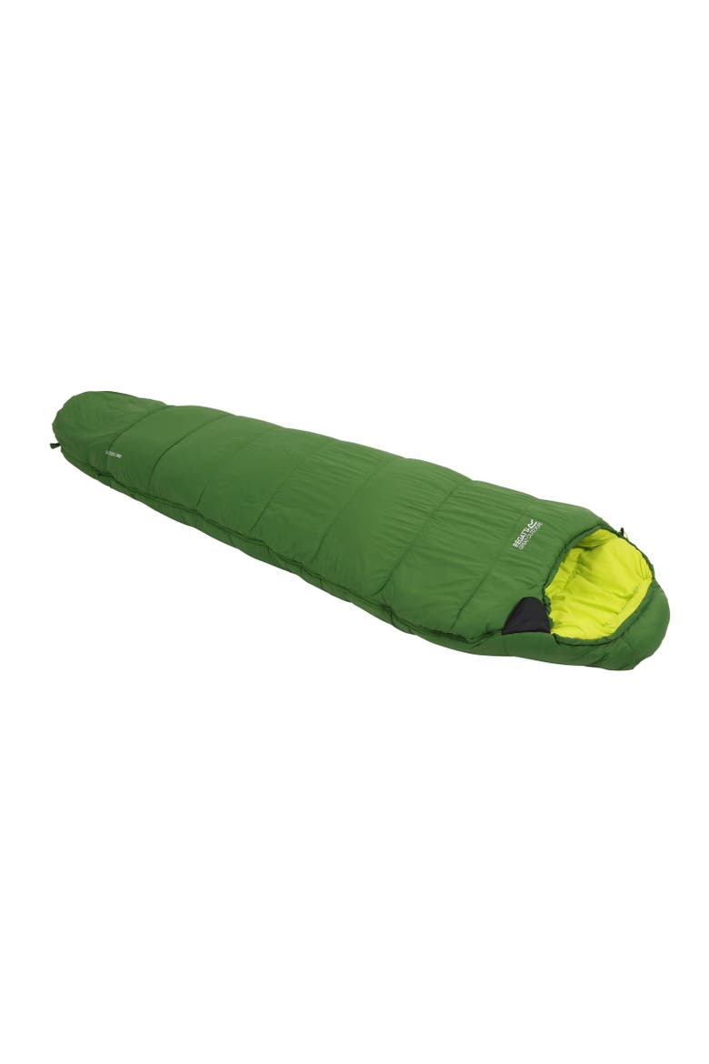 Montegra 300 Sleeping Bag, Main, color, Alpine Green