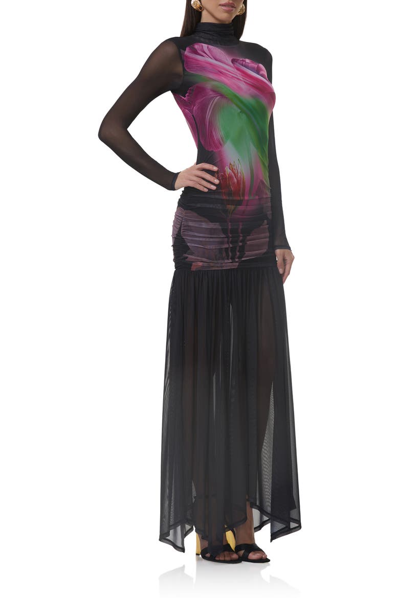 Joni Sheer Long Sleeve Turtleneck Mesh Maxi Dress, Alternate, color, PINK PEONY BLUR