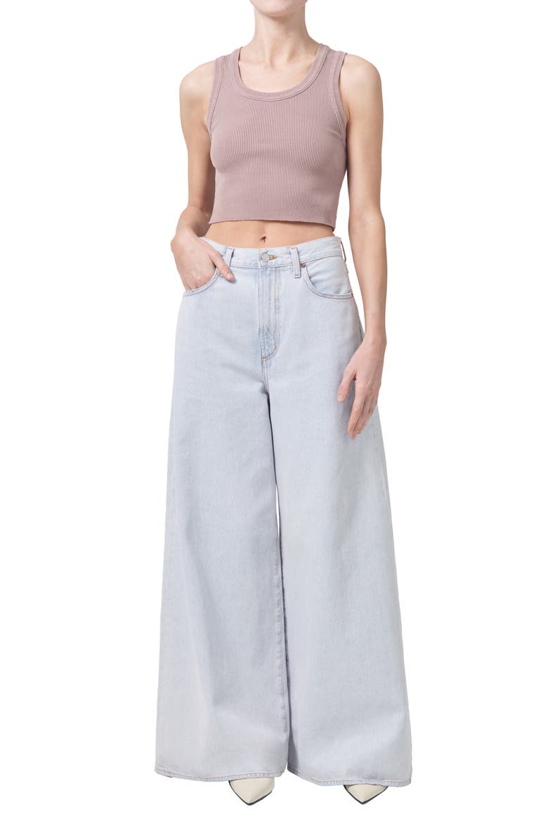 AGOLDE Nolan High Waist Wide Leg Jeans, Alternate, color, 