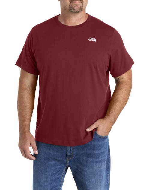 Big 
Tall Big Evolution Dome T-Shirt