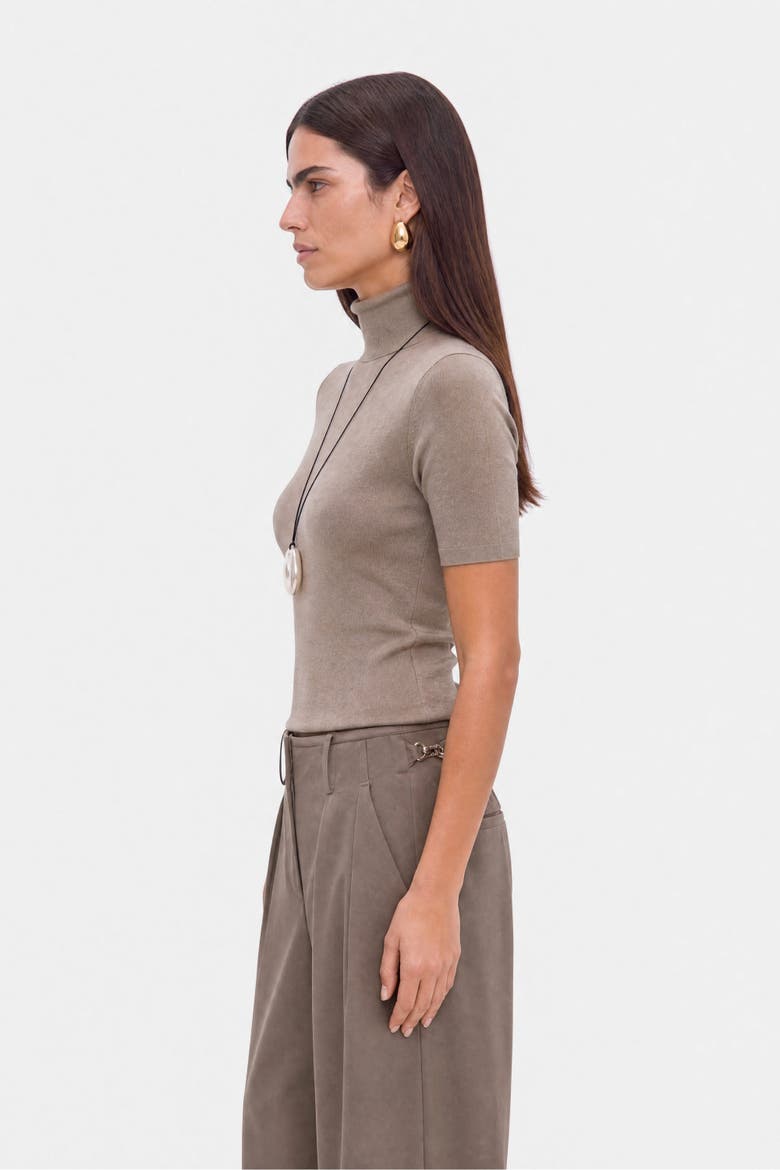 Pleated Barrel Leg Trousers, Alternate, color, Brown