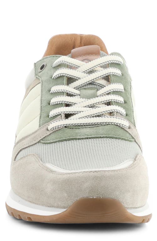 AMBITIOUS AMBITIOUS 12554A LOW TOP SNEAKER 