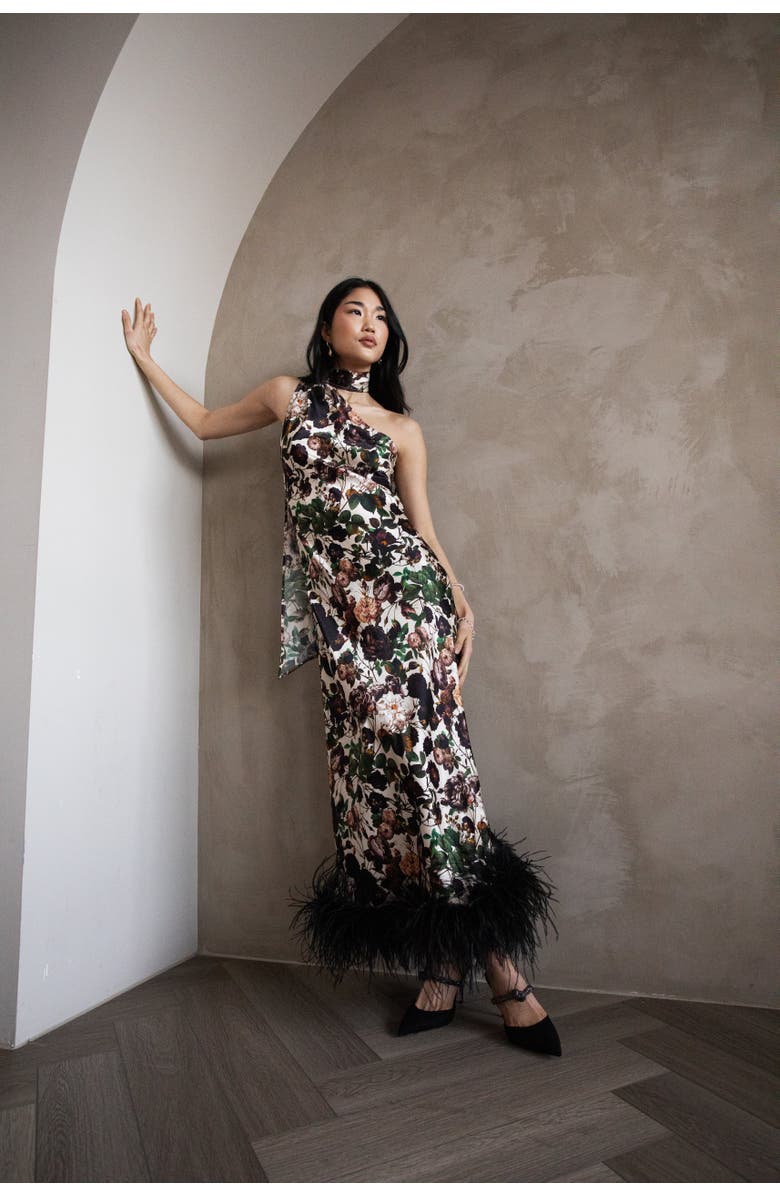 Vasiliki Liya One Sleeve Maxi Dress, Alternate, color, Brown